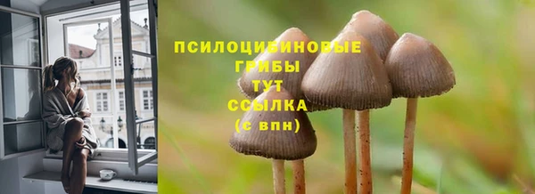 спиды Володарск